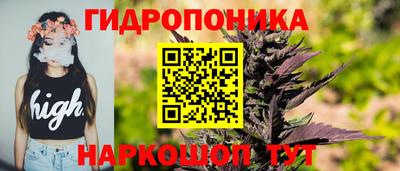 мяу мяу мука Нальчик