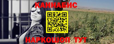 мяу мяу мука Нальчик