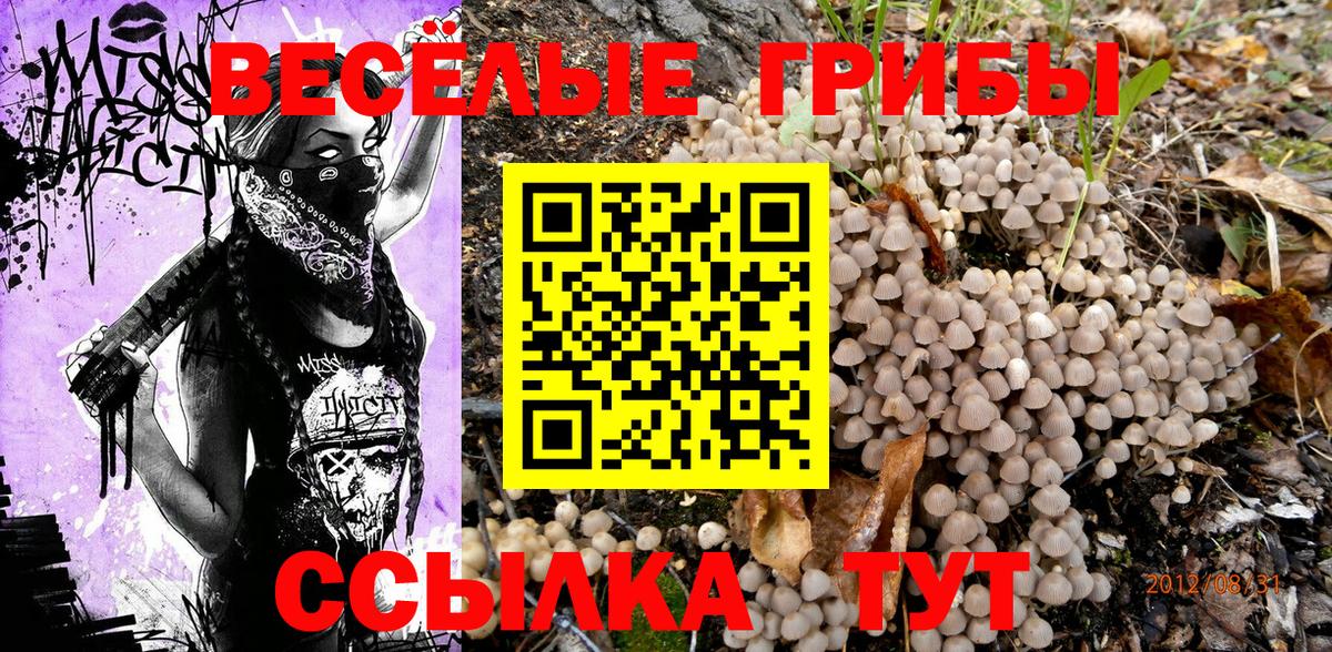 Галлюциногенные грибы MAGIC MUSHROOMS  Галлюциногенные грибы ЛСД  Белореченск  Вход с VPN 